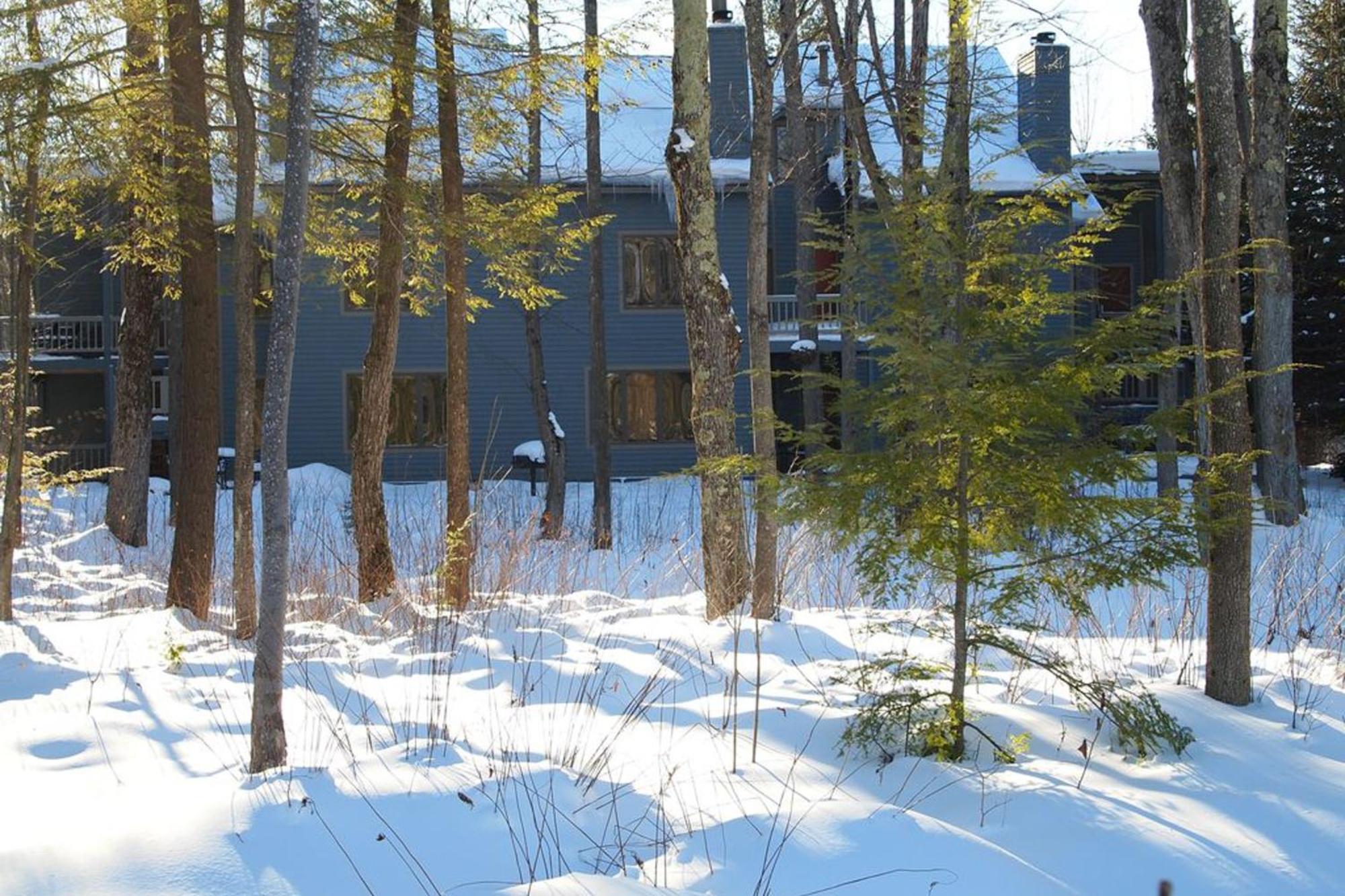 Wintergreen Condos Thompsonville Zimmer foto